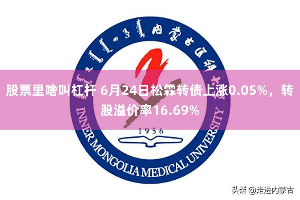 股票里啥叫杠杆 6月24日松霖转债上涨0.05%，转股溢价率16.69%