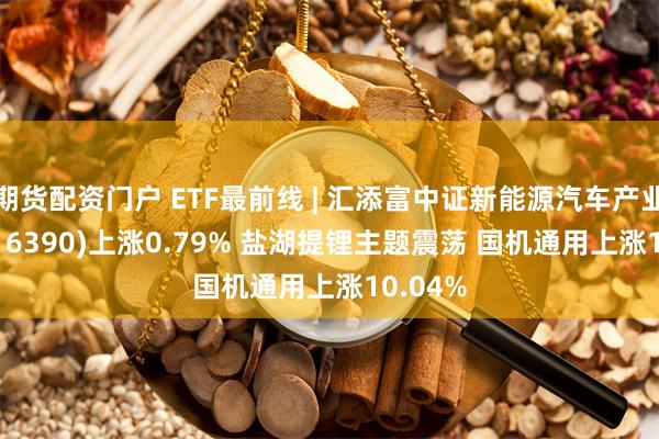 期货配资门户 ETF最前线 | 汇添富中证新能源汽车产业ETF(516390)上涨0.79% 盐湖提锂主题震荡 国机通用上涨10.04%