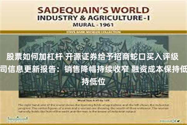 股票如何加杠杆 开源证券给予招商蛇口买入评级 公司信息更新报告：销售降幅持续收窄 融资成本保持低位