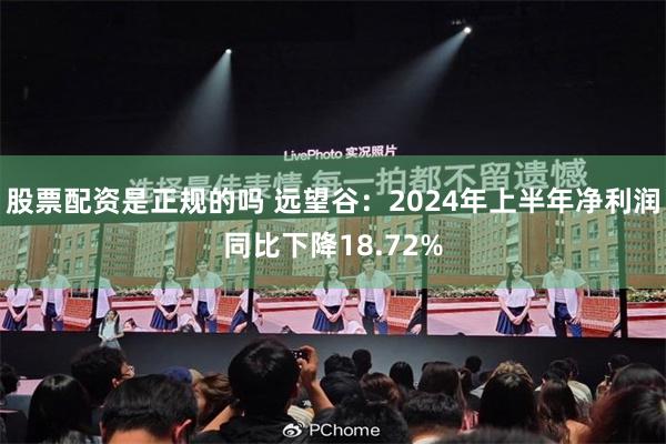 股票配资是正规的吗 远望谷：2024年上半年净利润同比下降18.72%