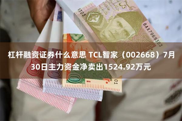 杠杆融资证券什么意思 TCL智家（002668）7月30日主力资金净卖出1524.92万元