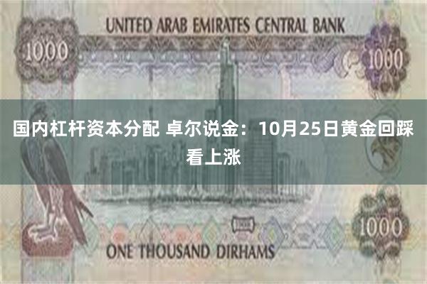 国内杠杆资本分配 卓尔说金：10月25日黄金回踩看上涨