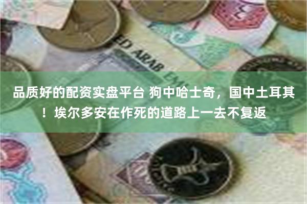 品质好的配资实盘平台 狗中哈士奇，国中土耳其！埃尔多安在作死的道路上一去不复返