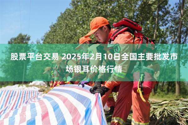 股票平台交易 2025年2月10日全国主要批发市场银耳价格行情