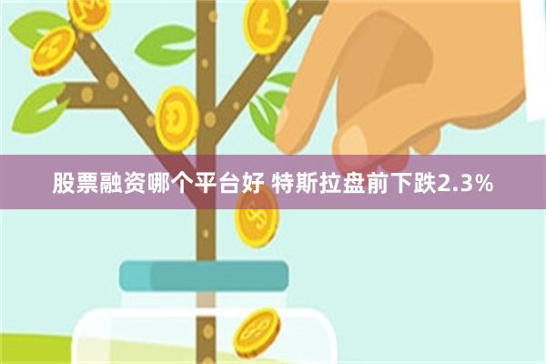 股票融资哪个平台好 特斯拉盘前下跌2.3%