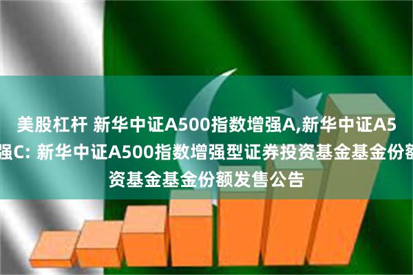 美股杠杆 新华中证A500指数增强A,新华中证A500指数增强C: 新华中证A500指数增强型证券投资基金基金份额发售公告